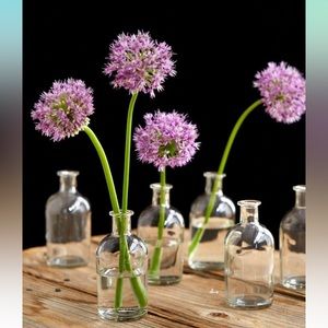 6 Pack Small Glass Decorative Bottles, Vintage Style Bud Vases